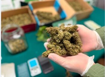 Detienen a tres  personas en incautan droga en tres inmuebles