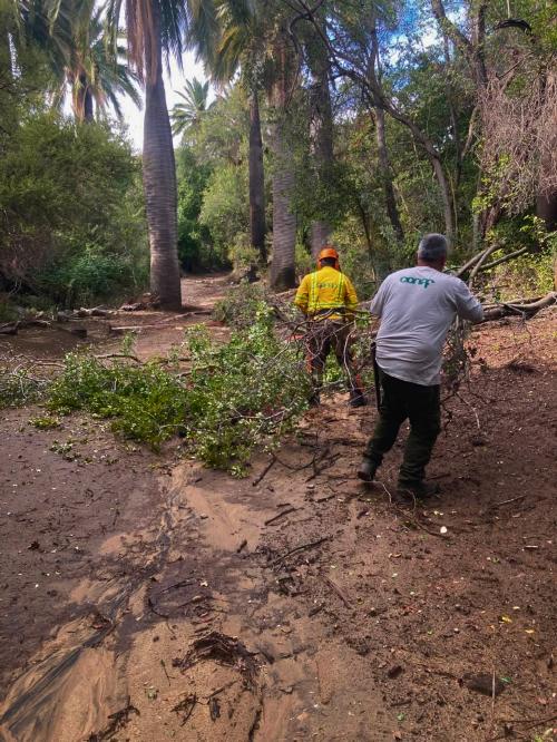 CONAF extiende hasta el viernes el cierre preventivo de tres áreas protegidas de la Región de Valparaíso