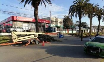 Municipio sanantonino pagará $30 millones por trabajador que falleció cuando realizaba poda