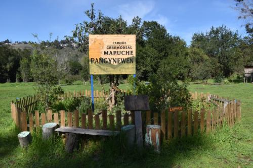 Cultura mapuche, alimentación saludable y medicina ancestral se toman Cartagena